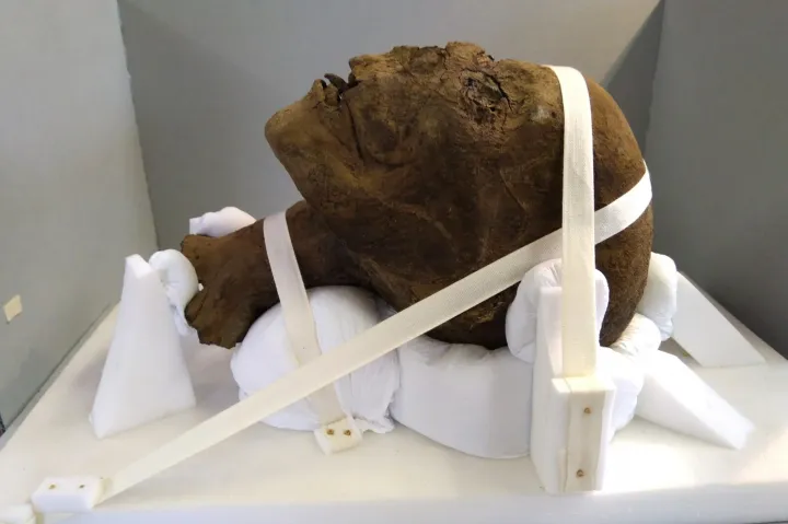 Kétezer éves egyiptomi múmia levágott fejét találták meg egy brit orvos padlásán