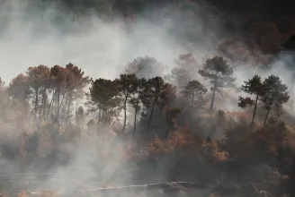 Egy piromán tűzoltó gyújtogatása okozta a dél-franciaországi erdőtüzeket