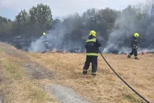 Öt futballpálya nagyságú területen égett a száraz fű a IX. kerületben