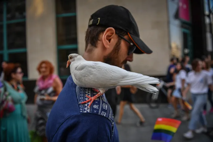 Homofób férfiak támadtak két csókolózó kiskorú fiatalra a bukaresti Cișmigiu parkban