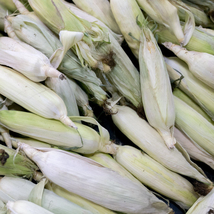 2008 óta nem látott mértékben estek a világpiaci élelmiszerárak júliusban