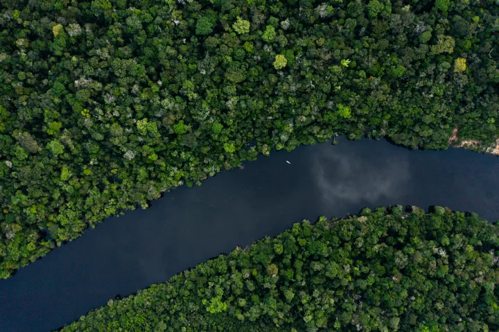 Pert nyert a brazil állam ellen egy hírhedt erdőirtó, ami miatt megszűnik a megkárosított nemzeti park is