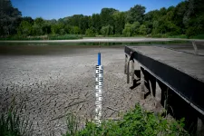 A Debrecen melletti pocsolya, aminek a partján egykor a Motörhead koncertezett: Vekeri-tó