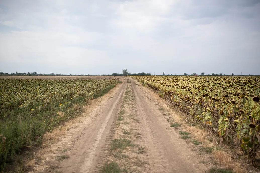 Ha nem cselekszünk, akkor a jövőben akár 40 napon át is „élvezhetjük” a pusztító szárazságot