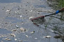 Jutalmat kap, aki segít leleplezni az Odera folyó megmérgezőit