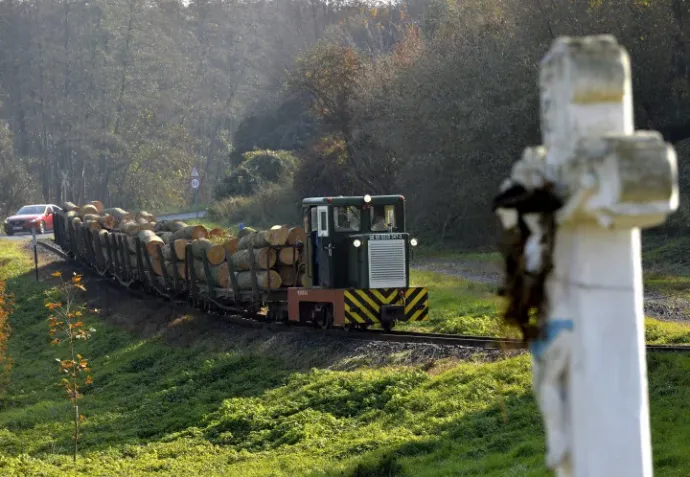 A freight train loaded with timber on the line of the Csömödér narrow-gauge railway, on the outskirts of Bánokszentgyörgy – Photo by Zoltán Máthé / MTI