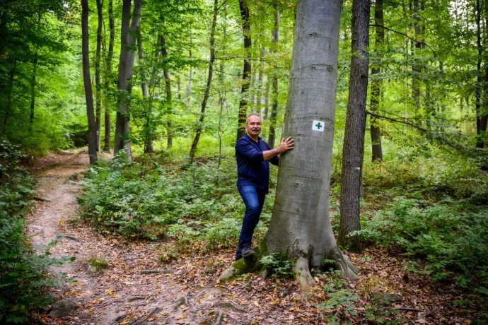 Miniszteri utasítást adtak ki a természetvédelmi és a Natura 2000-es területeken történő tarvágás tiltására