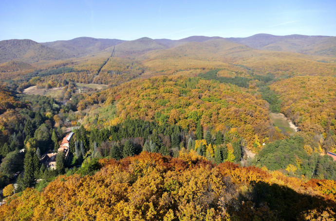 A kormány visszakozott erdőügyben, de ezzel a magántulajdonosokat hozhatja jobb helyzetbe