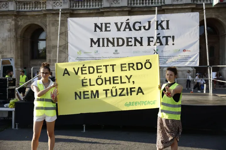 Németh Péter / Telex