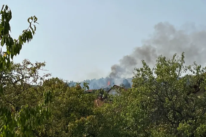 Minden pécsitől elnézést kért a mecseki tűz okozója