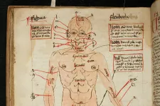 Porrá őrölt bagoly vaddisznózsírral – több ezer középkori orvosi receptet gyűjtöttek össze