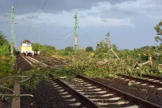 Fa dőlt a vasúti sínekre a székesfehérvári vonalon, órákat késhetnek a balatoni vonatok