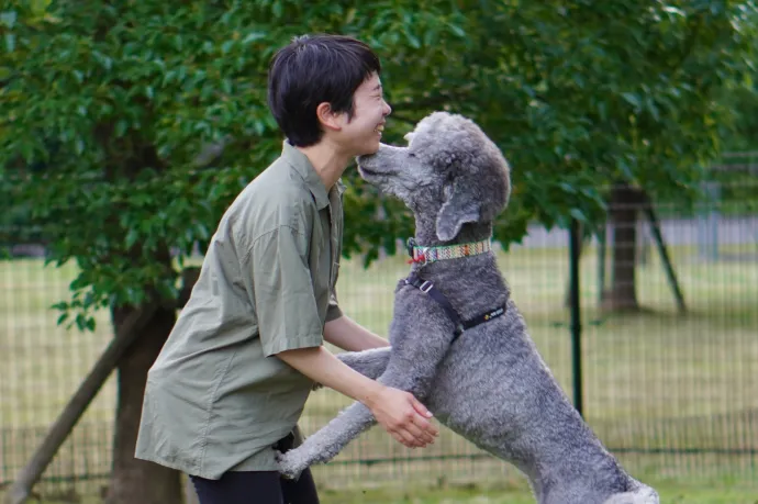 A kutyák is könnyeznek örömükben, amikor újra találkoznak a gazdájukkal