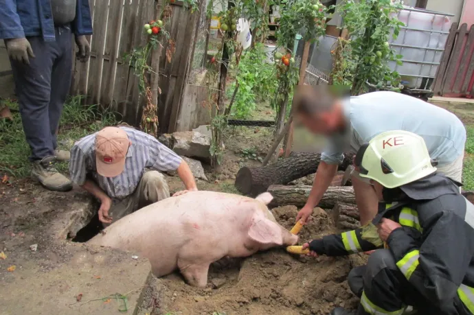 Malacsuttogó tűzoltókat fotóztak Esztergályhorvátiban