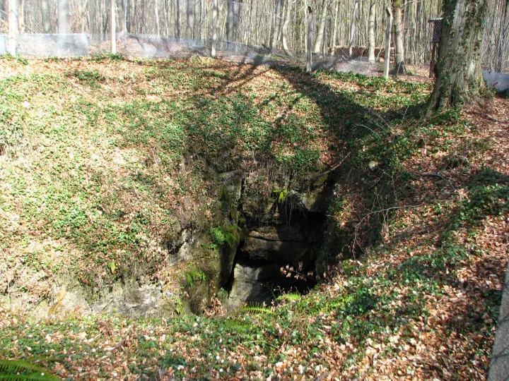 A barlang bejárata – Fotó: Michael Fiegle / Wikipedia