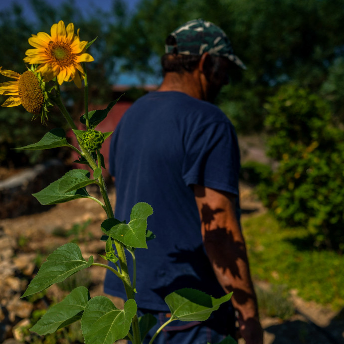 Megfelelő terápiával jelentősen csökkenthető a mentális problémák miatt kivett betegszabadságok ideje