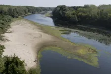 Rekord alacsony a Duna vízállása: akadozik a forgalom, gondok vannak az erőművek ellátásával