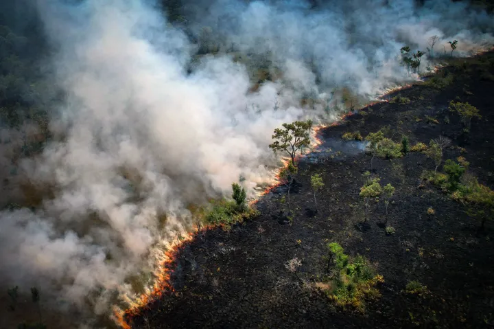 Az illegális fakitermelés miatt nőtt meg idén az erdőtüzek száma Brazíliában