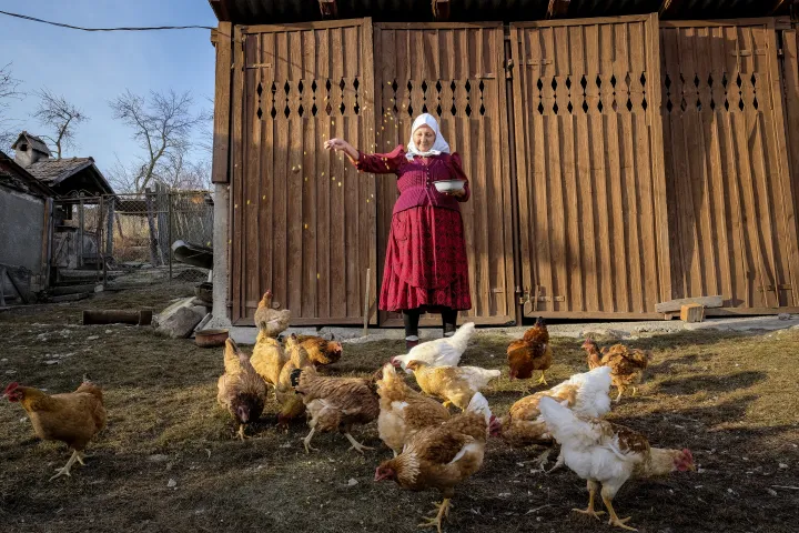 Sára Filep from Sic and Ibolya from Sărmășag are themselves eligible for the government pension, but their income from elderly care is the basis of their livelihood – Photo by Tamás Márkos / Transindex / Telex