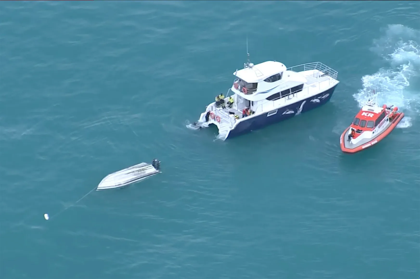 Feltehetően bálnának ütközött egy hajó Új-Zélandnál, öten meghaltak