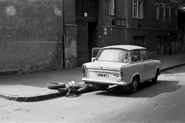 Budapest döntötte el, mihez kezdjen az életével