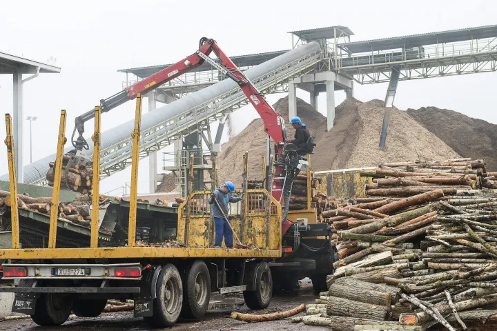 Fát rakodnak a Dél-nyírségi Bioenergia Művek Zrt. Szakolyi Biomassza Erőművében, 2015. október 9-én – Fotó: Balázs Attila / MTI