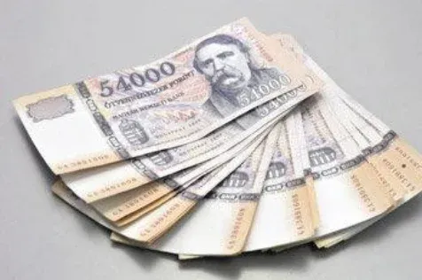 Matolcsyék nem tervezik az 50 000 forintos bankjegy bevezetését