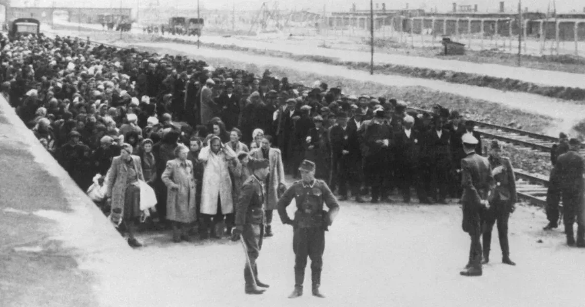 Az ételekbe csempészett szteroidok, és nem a stressz miatt maradhatott el a fogoly nők menstruációja a náci koncentrációs táborokban