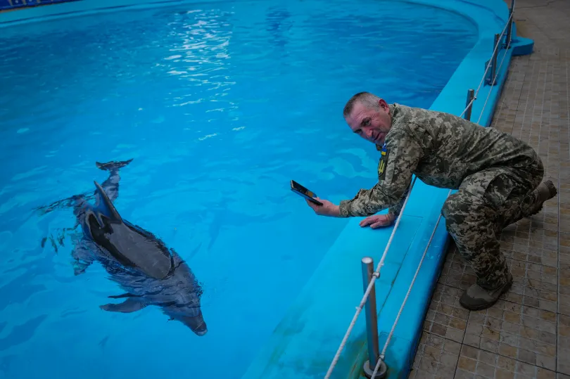 A gyerekek után egyre inkább a katonák a leggyakoribb vendégek a delfineknél – Fotó: Huszti István / Telex