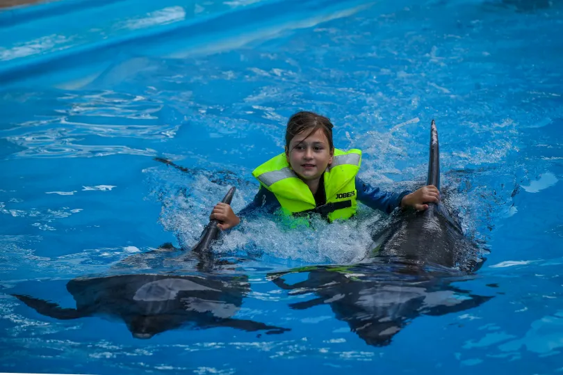 A gyerekek után egyre inkább a katonák a leggyakoribb vendégek a delfineknél – Fotó: Huszti István / Telex