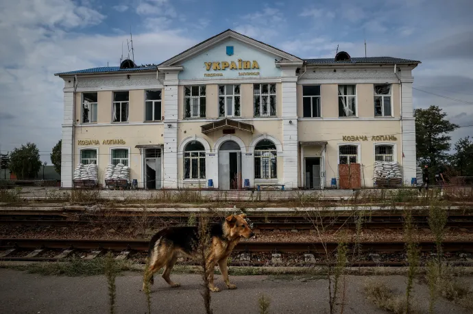 Hallottuk a kínzásokat. Volt, aki azt üvöltötte, hogy bármit magára vállal, csak legyen vége