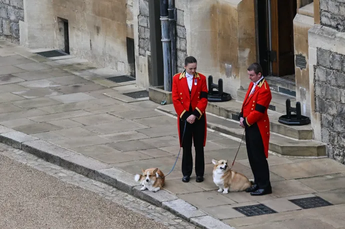 Megduplázódott a corgik ára II. Erzsébet temetése óta