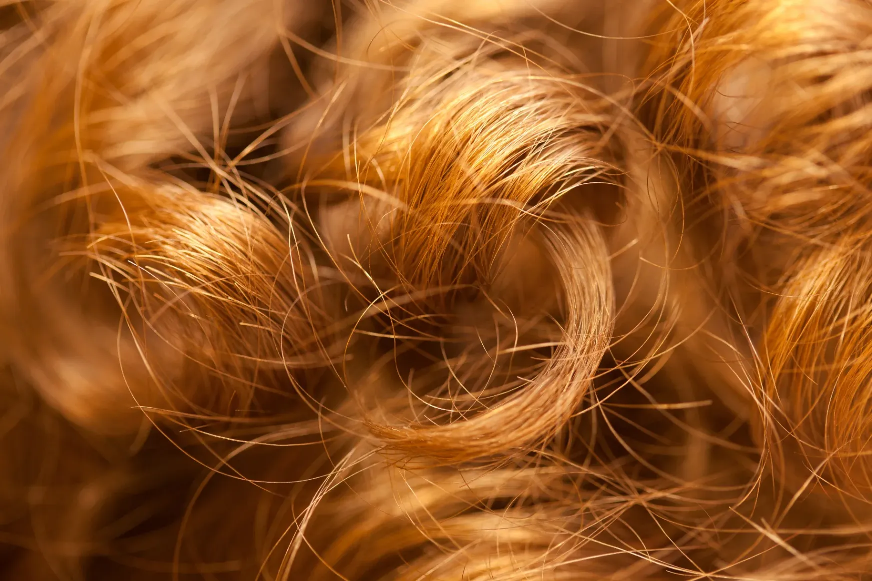 Hogy lehet a göndör hajjal igazán jól bánni? – egy évtizede hódít a Curly Girl Method