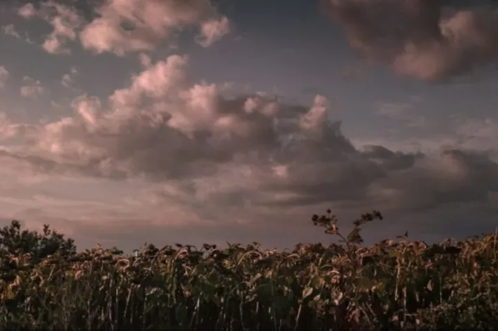 Andrei Epure Talán a sötétség eltakar című alkotása nyerte az Alter-Native rövidfilmfesztivál fődíját