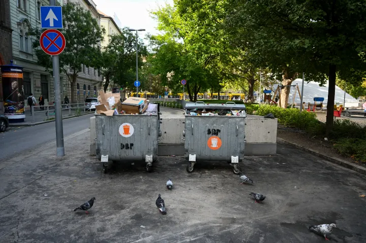 Csütörtökön délelőtt Budapest utcáit beborították a teli kukák és konténerek – Fotó: Hevesi-szabó Lujza, Melegh Noémi Napsugár / Telex