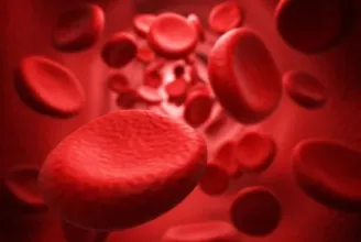 Évtizedes rejtélyt oldott meg egy új vércsoportrendszer felfedezése