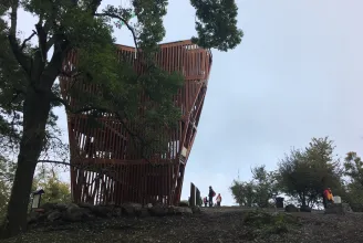 Gigantikus fa szószék a Duna-kanyar fölött