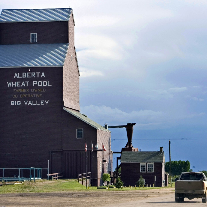 Olyan jó lett a búzatermés, hogy alig bírják elszállítani Kanadában