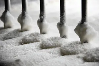 Helyi termelők mentik meg a marosludasi cukorgyárat