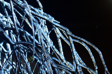 Megúszhatjuk a kemény telet, de a gázárak csökkenésében nem érdemes bízni