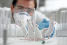 Műegerekkel helyettesíti az oktatásban a kísérleti állatokat az Állatorvostudományi Egyetem
