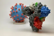 Mesterségesen létrehozott koronavírus-mutáns miatt támadták a Bostoni Egyetemet