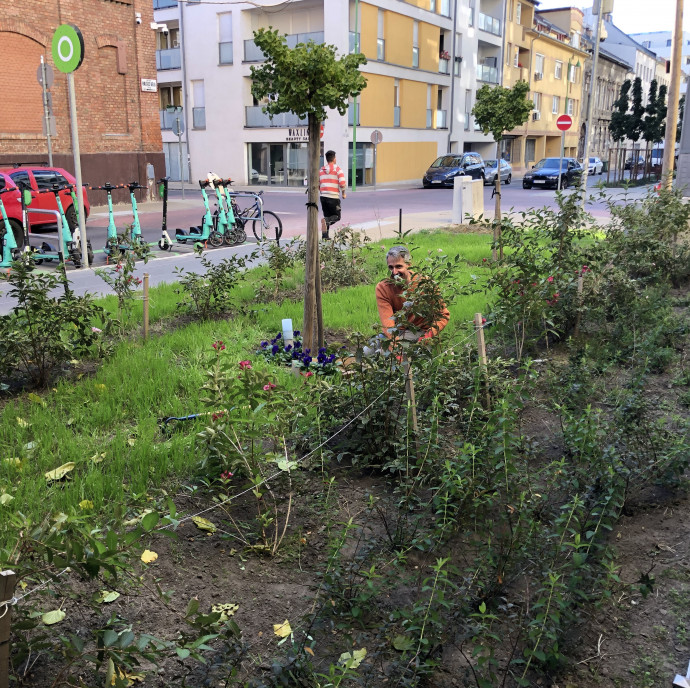 „Magyarországon nem fogják fel, ha az ember saját pénzét költi nem a saját dolgára”