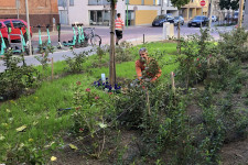 “Magyarországon nem fogják fel, ha az ember saját pénzét költi nem a saját dolgára”