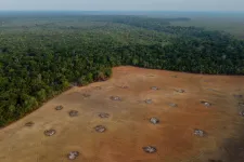 Húsz év alatt 100 millió hektárnyi erdőt veszített a Föld