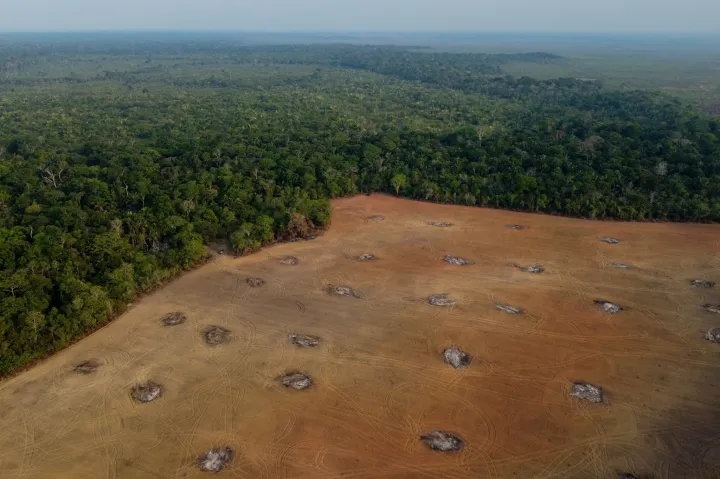 Még mindig Brazíliában a legnagyobb mértékű az erdőpusztítás – Fotó: Michael Dantas / AFP 