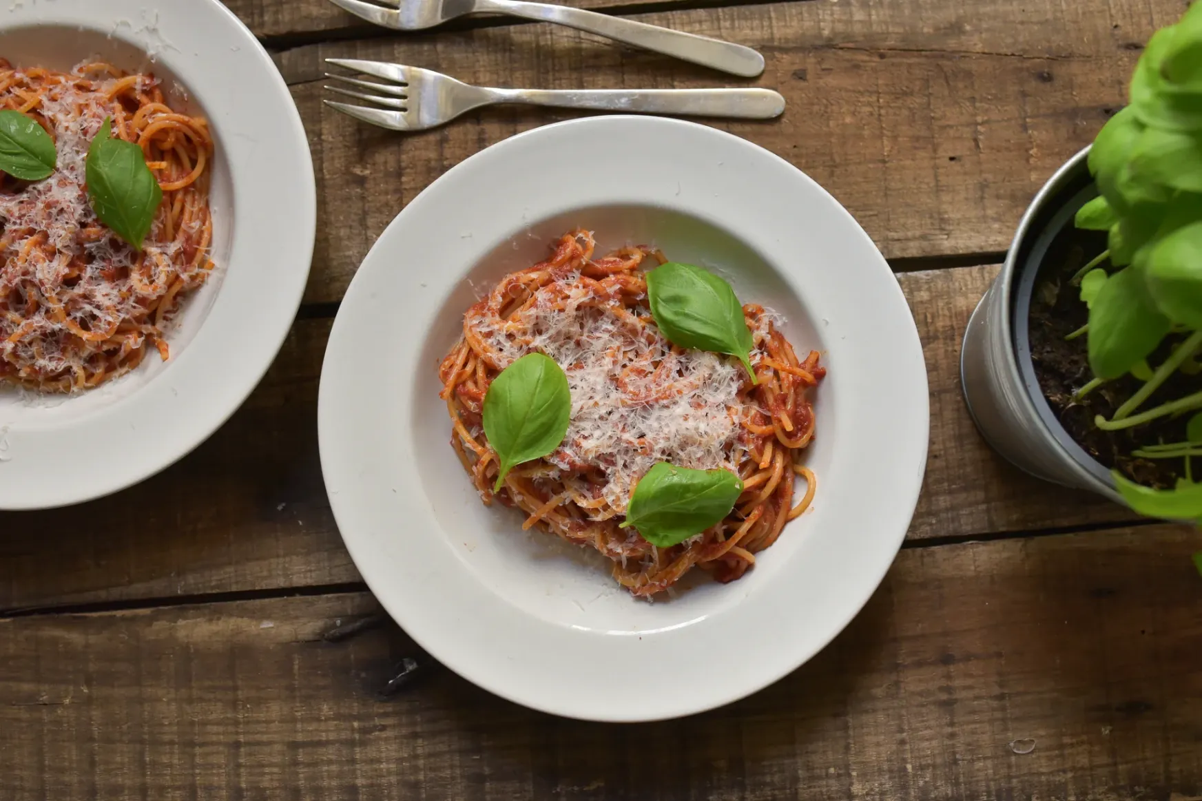 Elronthatatlan receptek, kezdőknek: a legfinomabb paradicsomos spagetti