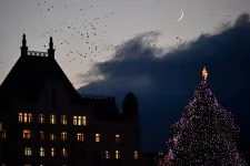Nem lesz karácsonyi díszkivilágítás a fővárosban, érkeznek az új villamosok