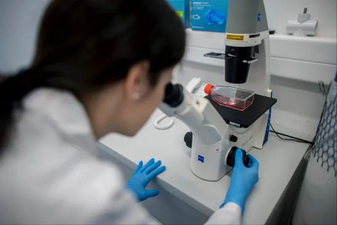 Minél több gyereke van egy női kutatónak itthon, annál inkább lemarad a fizetése a férfiakéhoz képest