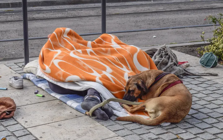 Hajléktalan Budapest belvárosában – Fotó: Róka László / MTI Bizományosi